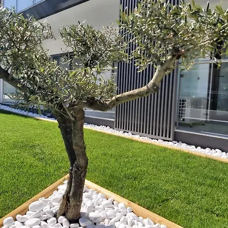 Monte By The Appartement